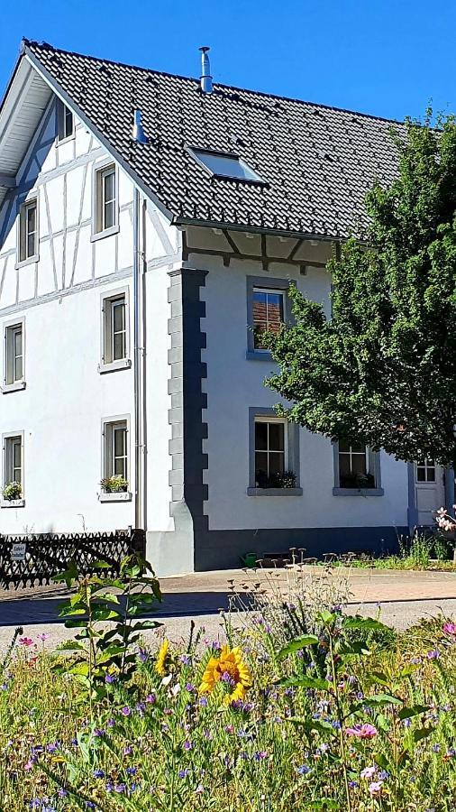 Apartment Kerbholz - Zwischen Suedschwarzwald Und Schweiz Griessen 外观 照片